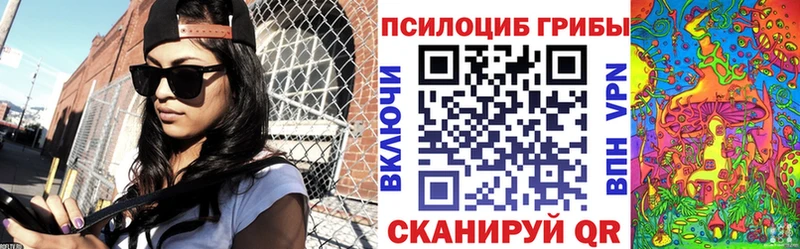 Псилоцибиновые грибы GOLDEN TEACHER  Пудож 